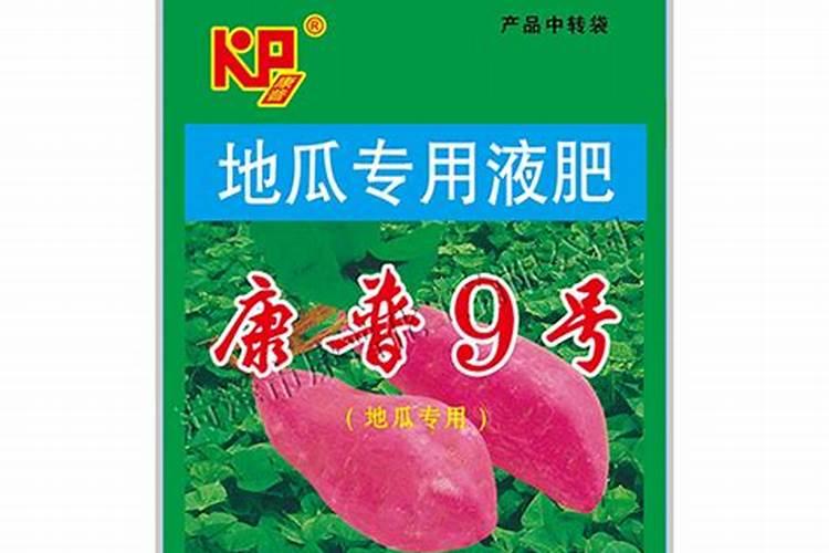 兰花什么时候施肥最好,兰花施肥用什么肥最好(氮磷钾肥)