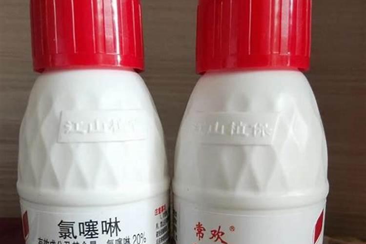 草莓一般怎么种