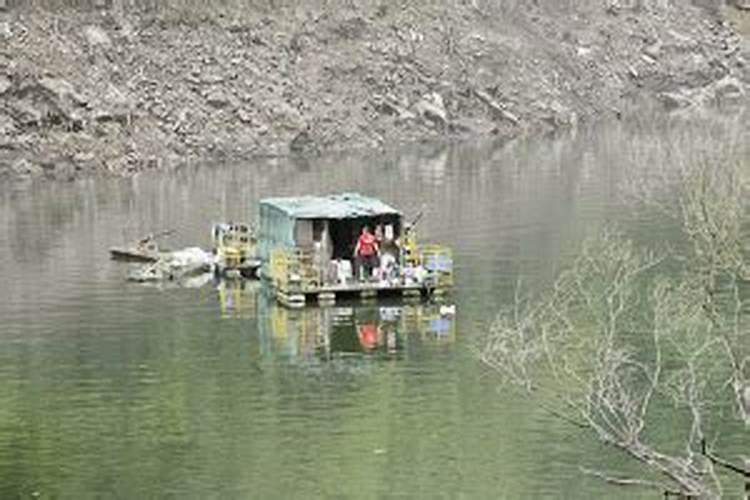 水库喂了化肥怎么钓鱼啊