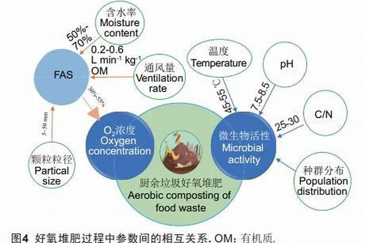 棉花硼肥什么时候打 如何正确使用