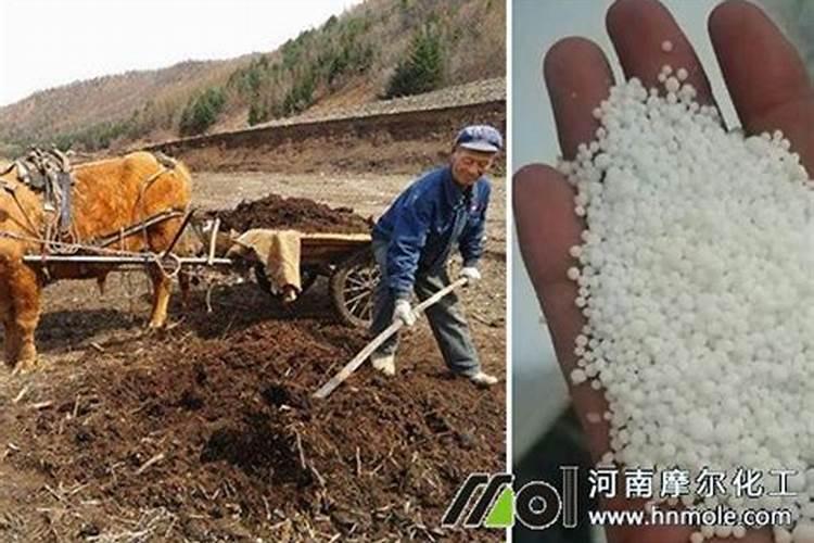 大量元素水溶肥对花卉绿植的用法