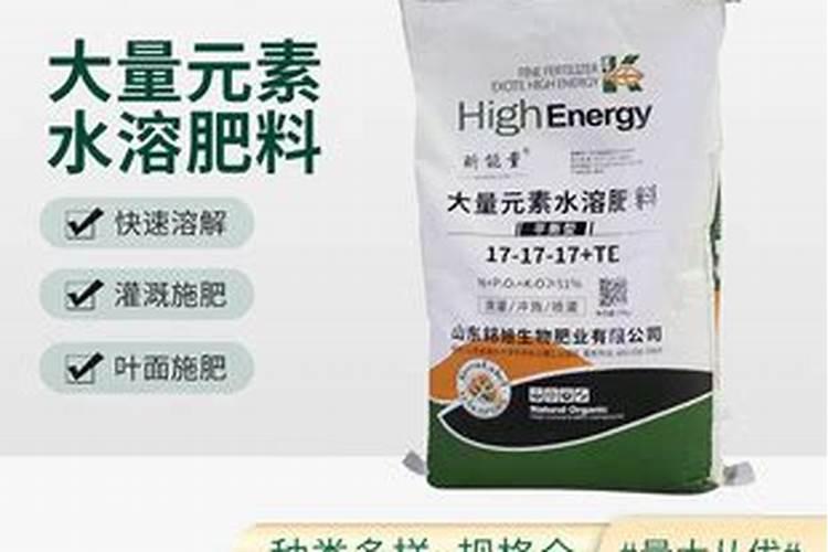 西瓜苗烂根怎么处理