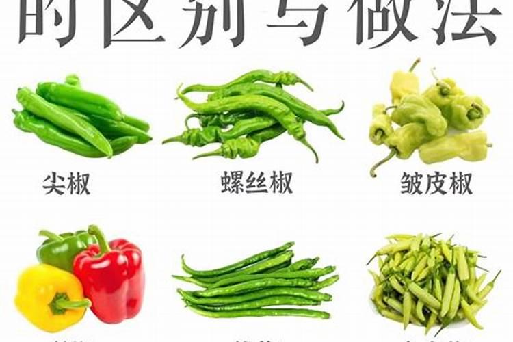 如何防止西瓜死苗烂根？