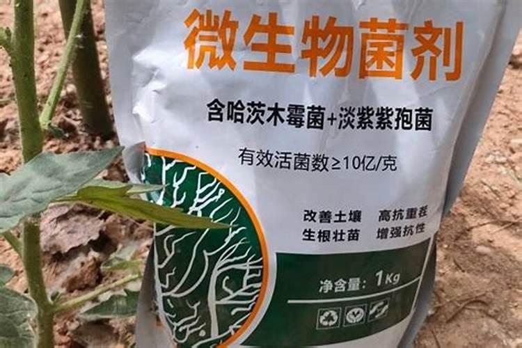 哈茨木霉可以和高氮肥混用么