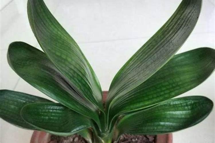 化肥原料氮肥和磷肥水泡了含量能掉吗？
