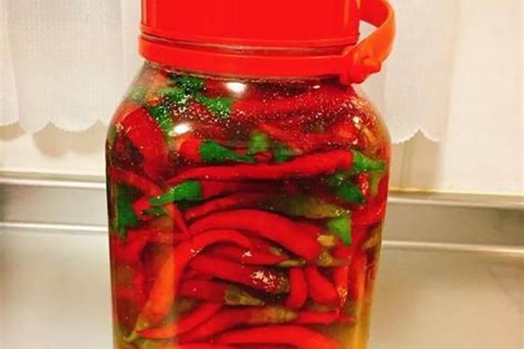 广东天台种什么品种辣椒好呢