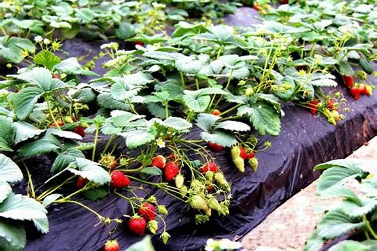 不同行业的含氟废水都有什么特点？