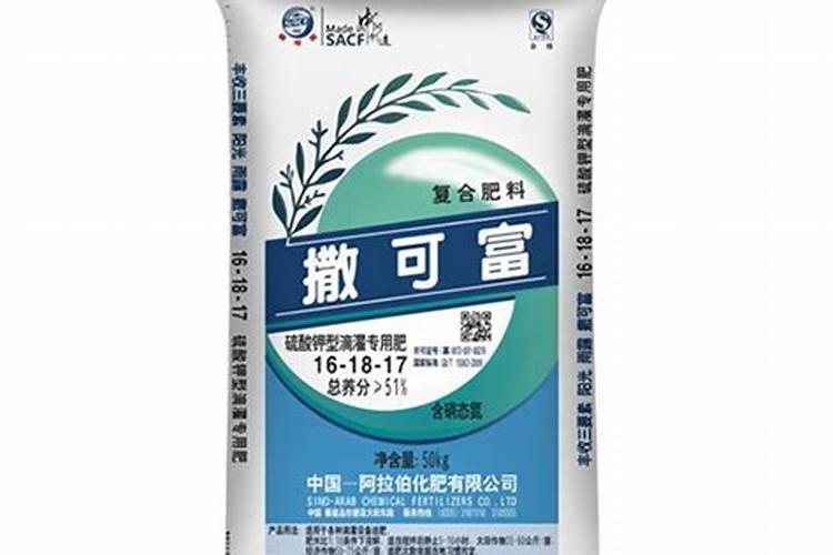 玫瑰花可以插活吗