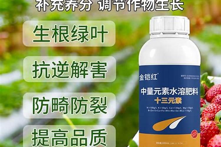 错过太可惜!葡萄施肥之氮、磷、钾、硼、锌!时间和方法都在