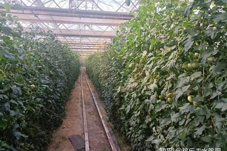 化肥用多了对土地有什么影响