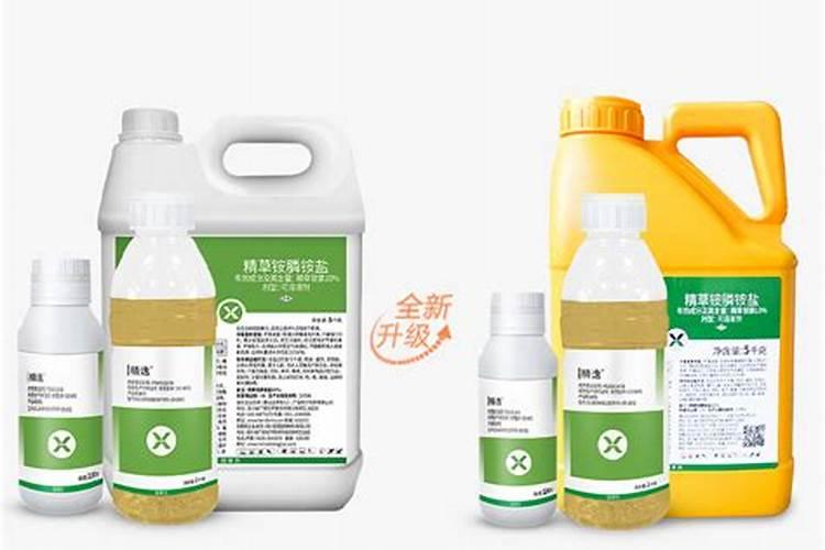 请问各位大神,月季花叶子背面发红是怎么回事？