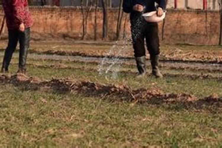 硝酸铵和锌肥能不能混用