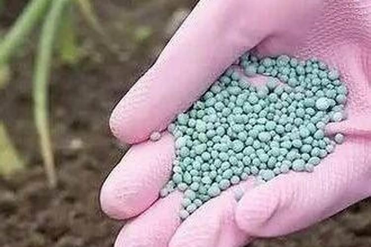 钾肥几天见效 快来看看吧