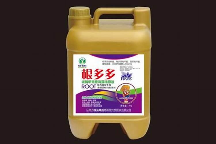 春天兰花不施肥夏天不开花2种施肥方法有效促开花!