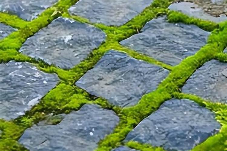 钙铁锌硒维生素怎么补？宝宝缺什么补什么,3招教你判断