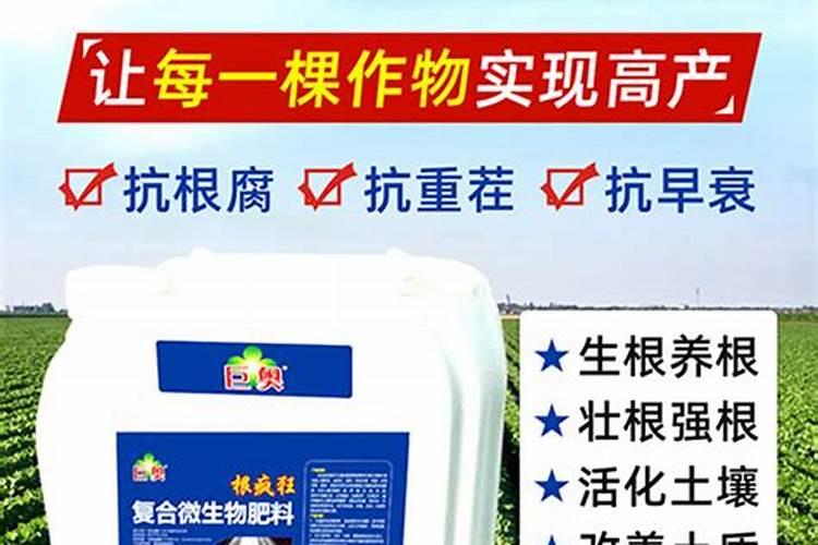 大蒜必须追施生根肥吗？用什么肥根系粗壮