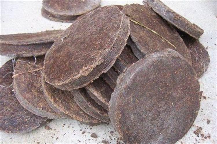 油菜用什么底肥最好