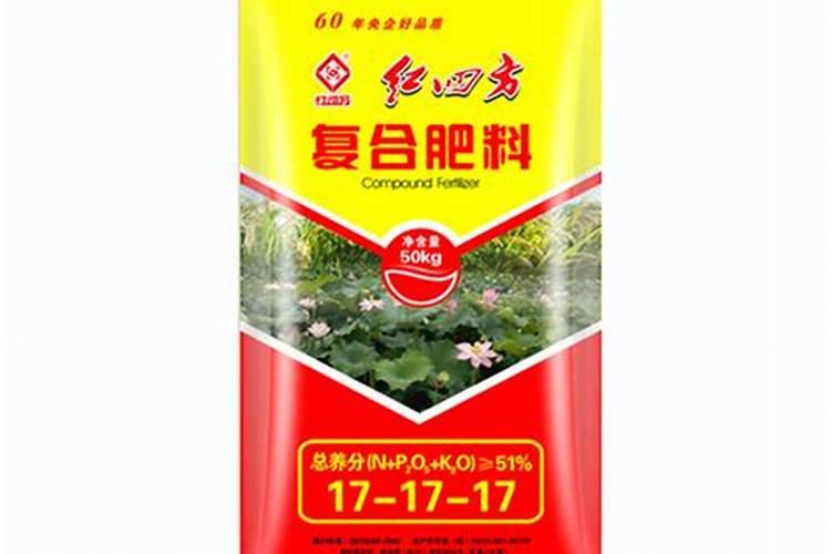 种植莲藕赚钱吗