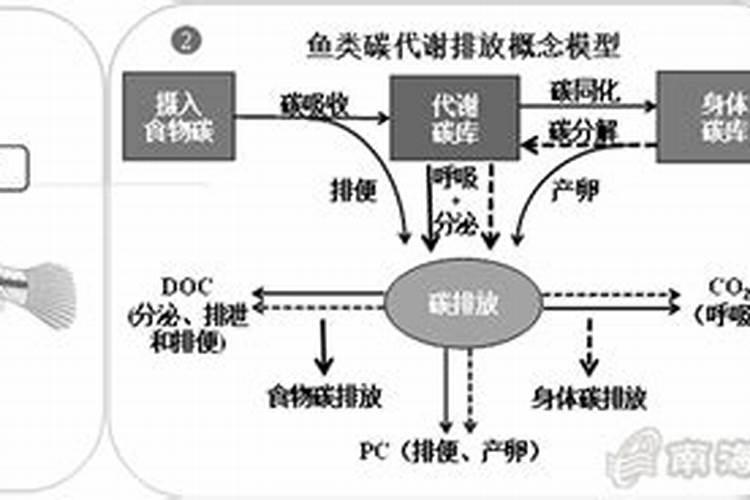 有含碳的叶面肥料吗
