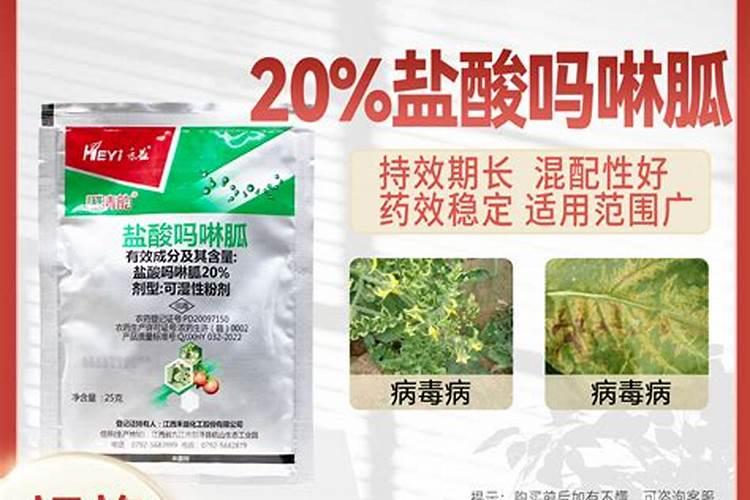 晚上可以给锦鲤鱼杀虫吗？