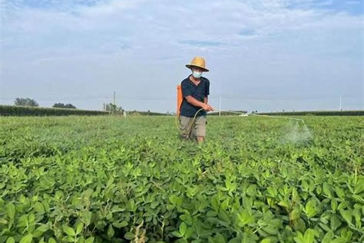 多菌灵可以浇果树吗