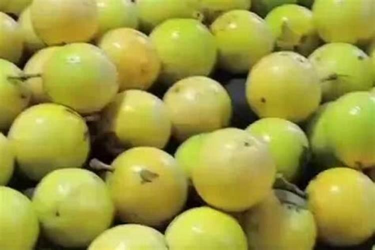 豌豆高产种植技术 豌豆怎么施肥