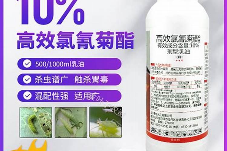 茶花杀菌杀虫好的方法