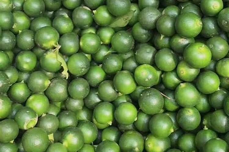 高粱移栽后几天施肥？