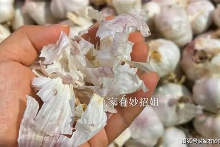 大蒜皮怎么做花肥