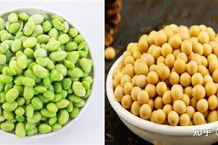 月季花怎么施肥 月季花施什么肥好