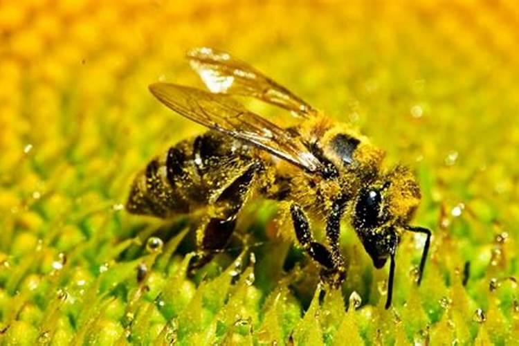 硼肥吃到肚子里有没有害