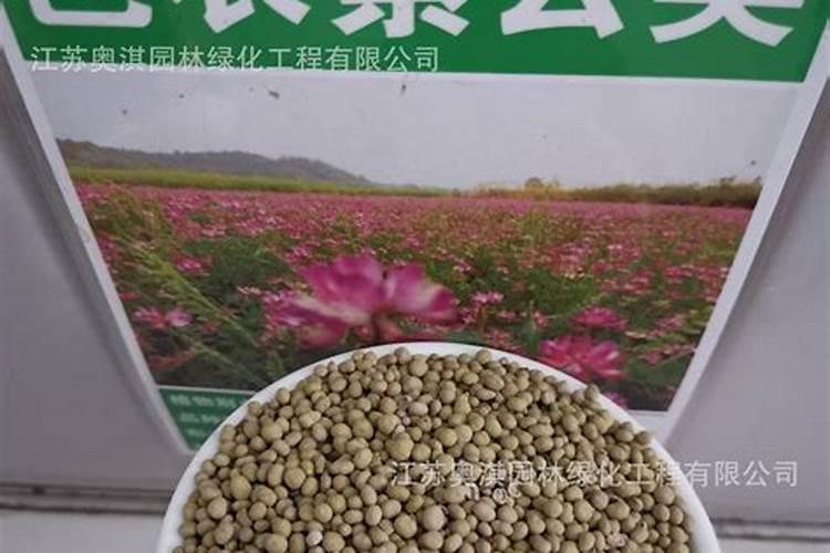 红花草是什么东东