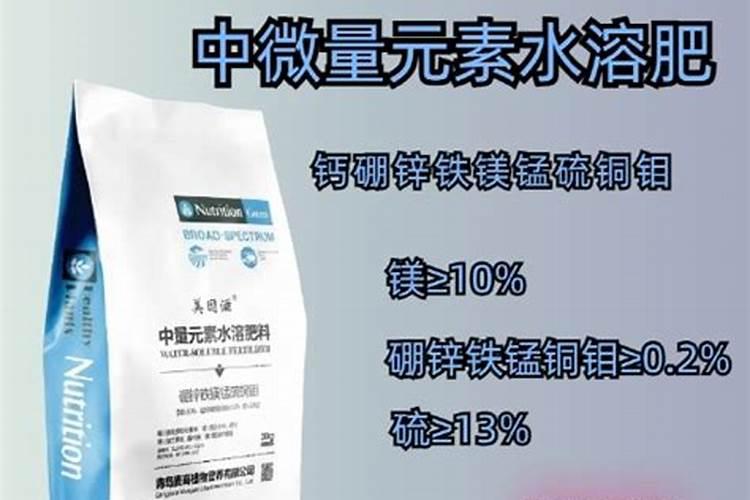 玫瑰花黄叶病的原因及治疗处理方法