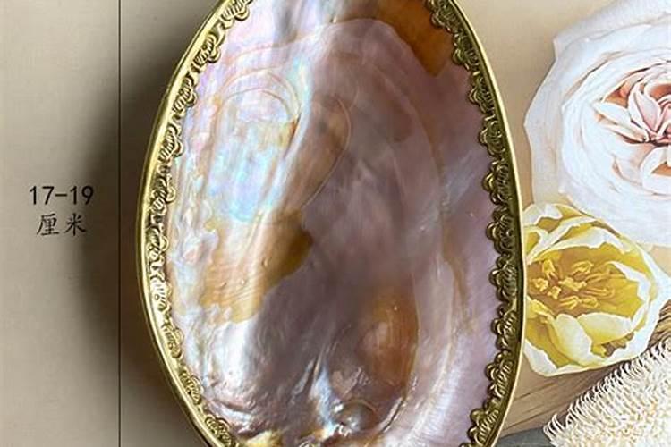 贝壳花怎么种 贝壳花的种植方法