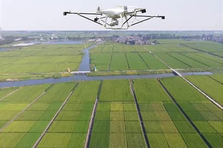 绿植物肥料有哪些