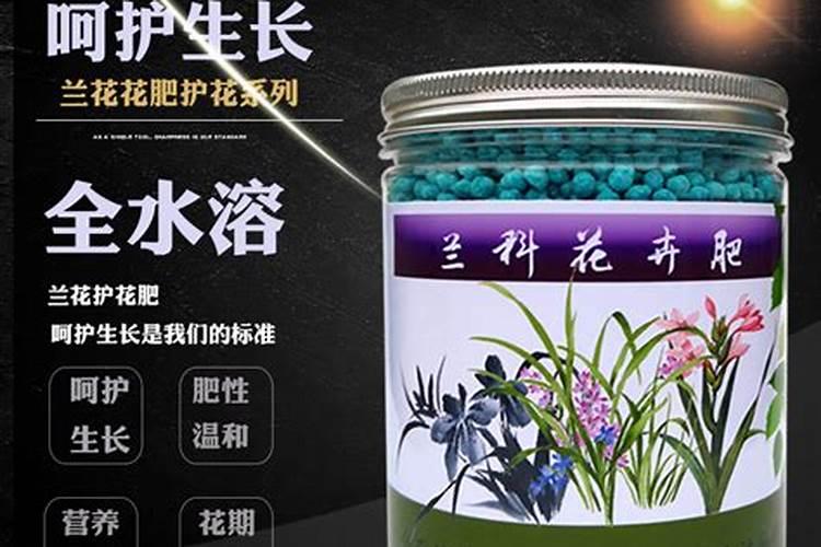 兰草花用什么肥料最好