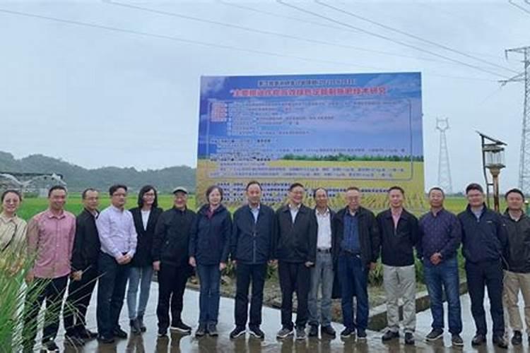 德州最大的水果批发市场在哪