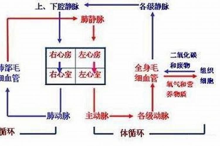 大量元素水溶肥可以和复合肥一起冲吗