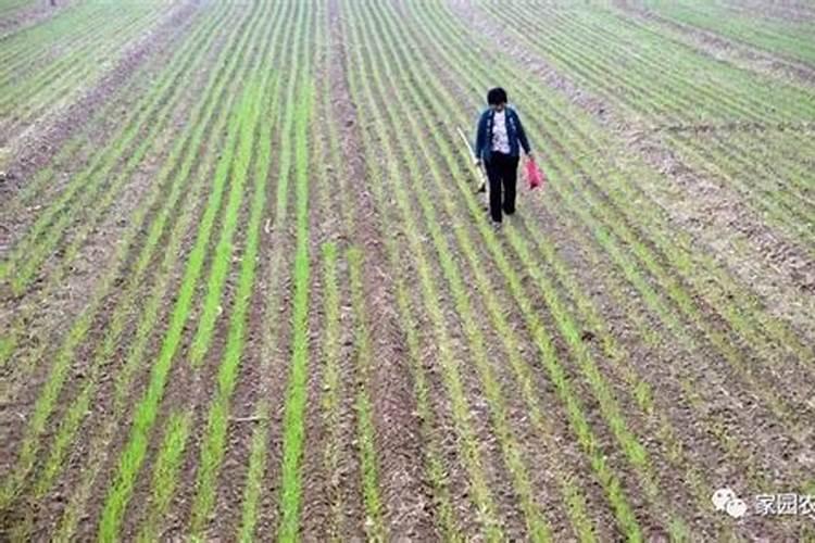 带禾字的男孩名字有哪些？