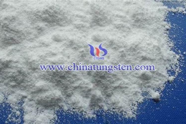 果树青苔打什么药最好