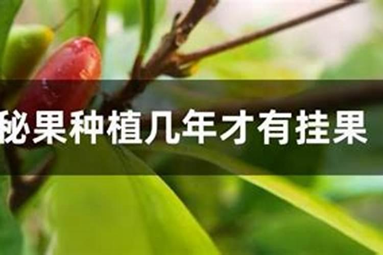 鱼蛋白,羊粪,豆粕肥可以一起用吗？