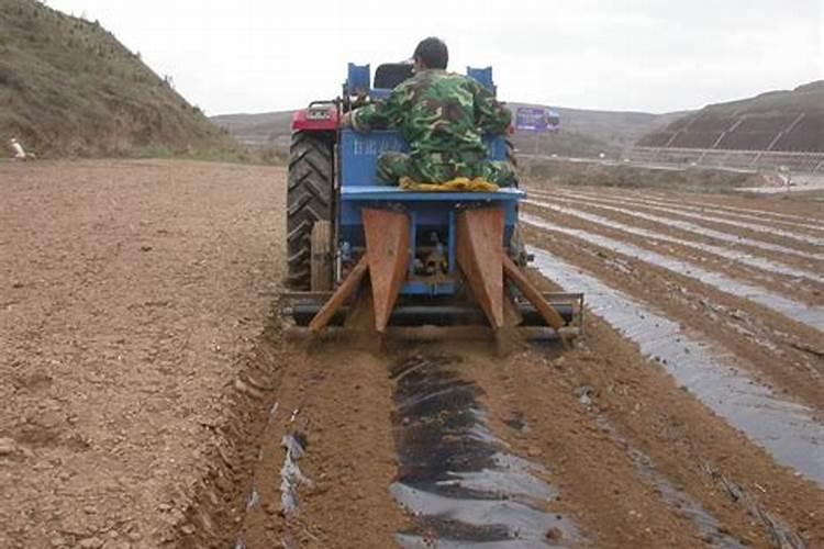 玉米追肥垄沟好还是垄侧好 怎么施肥更高产