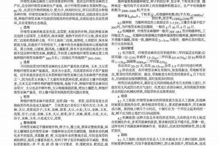 粉边亚麻种植密度