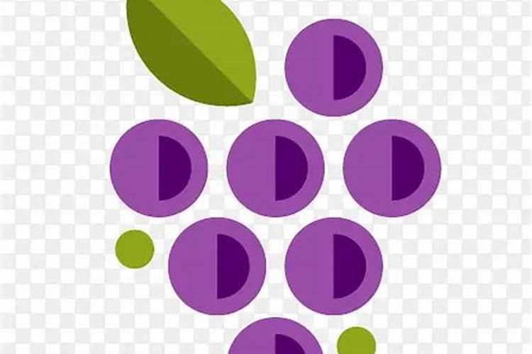 葡萄挂果期用什么水溶肥效果好？葡萄结果期上什么肥料产量高？