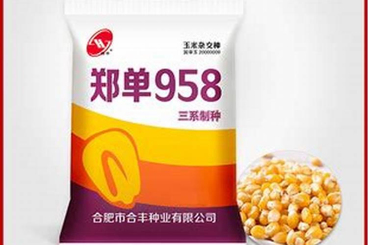 生物菌肥种玉米公顷用多少公斤？