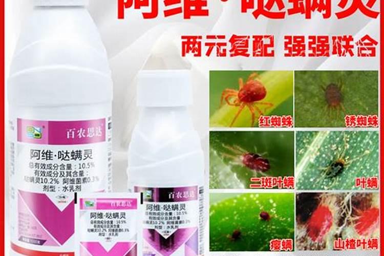 水果番茄含糖量高吗