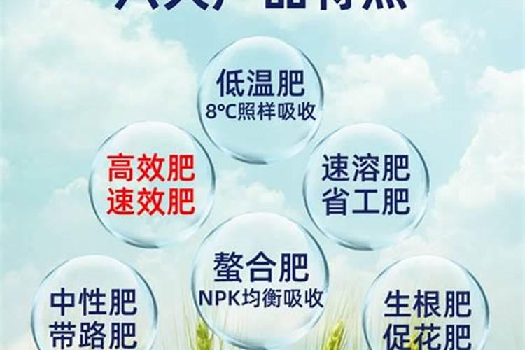 水稻齐穗后喷施含氮水溶肥有什么影响