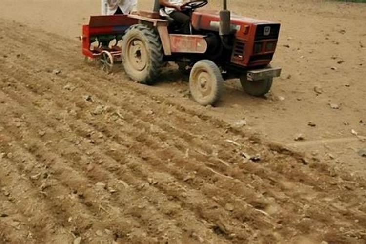 一亩玉米地该施多少肥料？