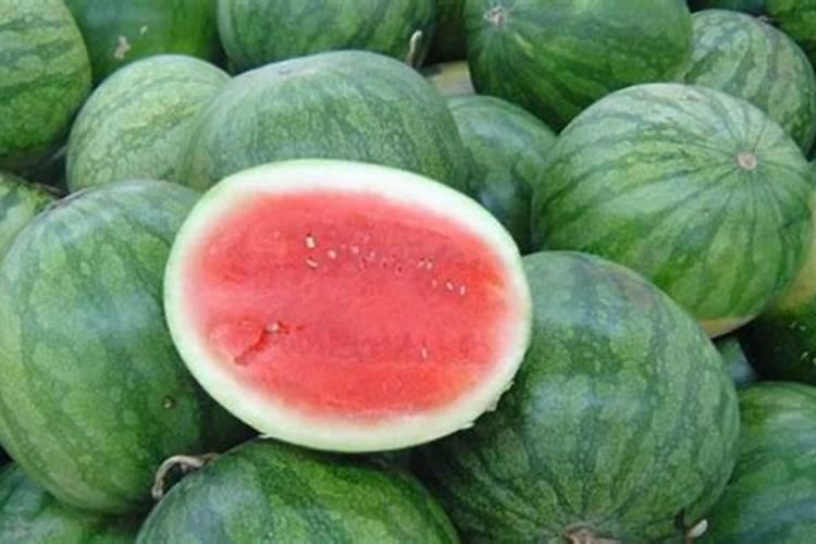 这些作物怎么使用鱼蛋白肥？千万别施错了!