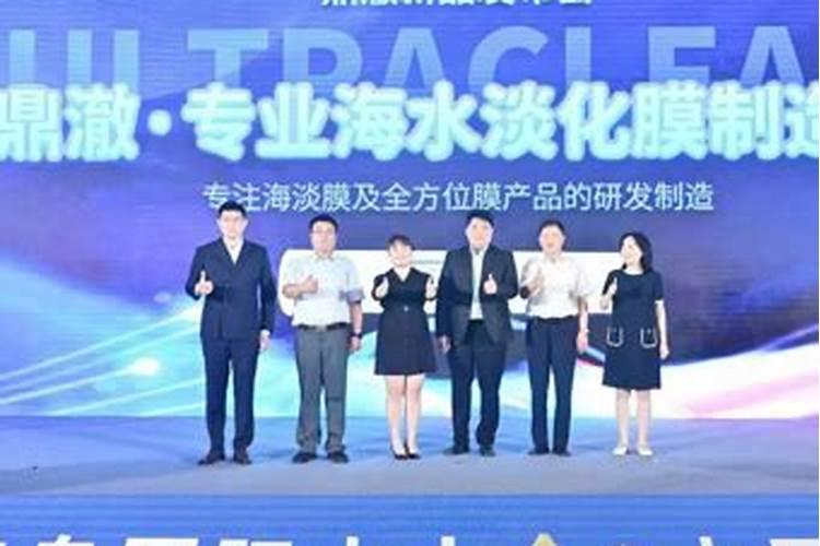 菊花什么时候扦插？